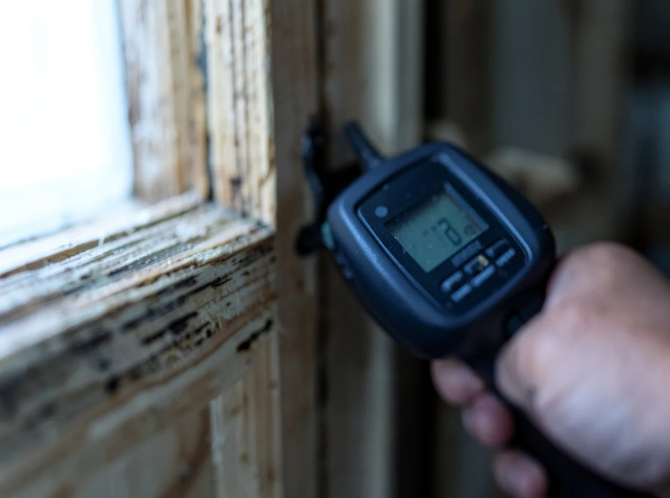 Moisture Inspection And Documentation in Shock, WV